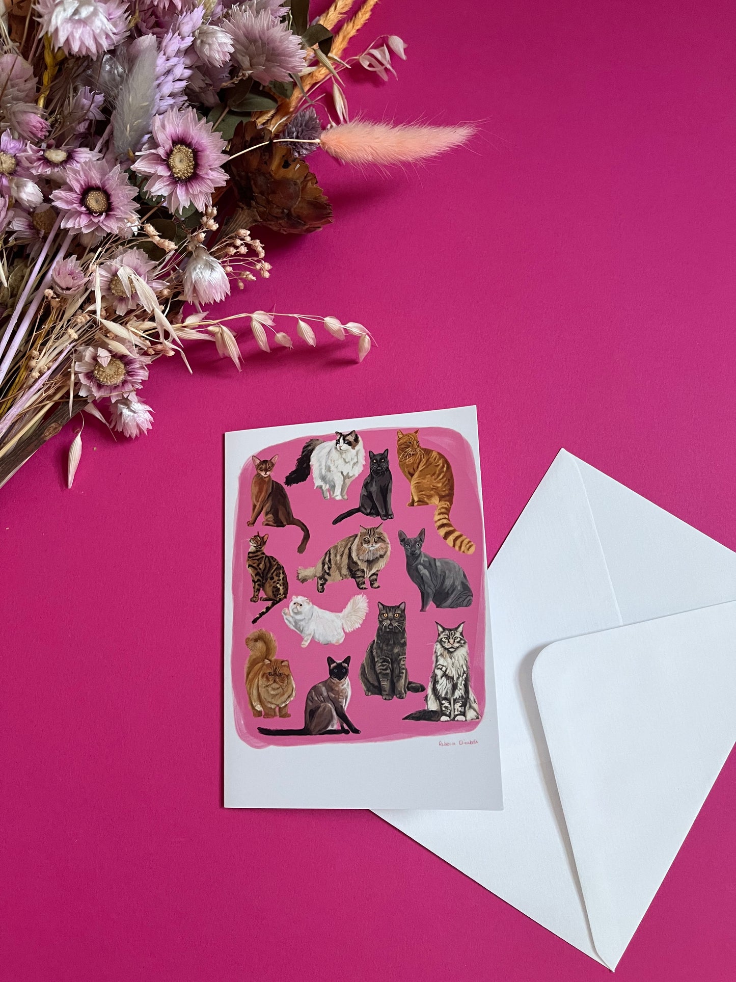 Cat illustrations in a collection on a colourful pink background and a dark green back. Alongside the Rebecca Elizabeth draws logo.