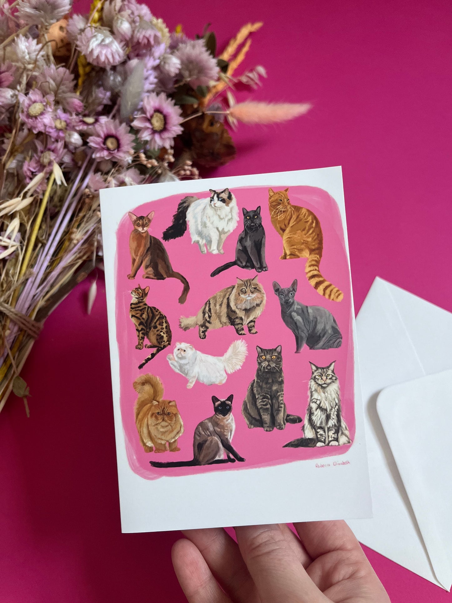 Cat illustrations in a collection on a colourful pink background and a dark green back. Alongside the Rebecca Elizabeth draws logo.