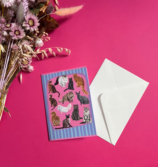 Cat illustrations in a collection on a colourful pink background with a small signature at the bottom. Blue background with lighter blue vertical stripes and a pink horizontal stripe along the top & bottom. The back is blue with the Rebecca Elizabeth draws logo.