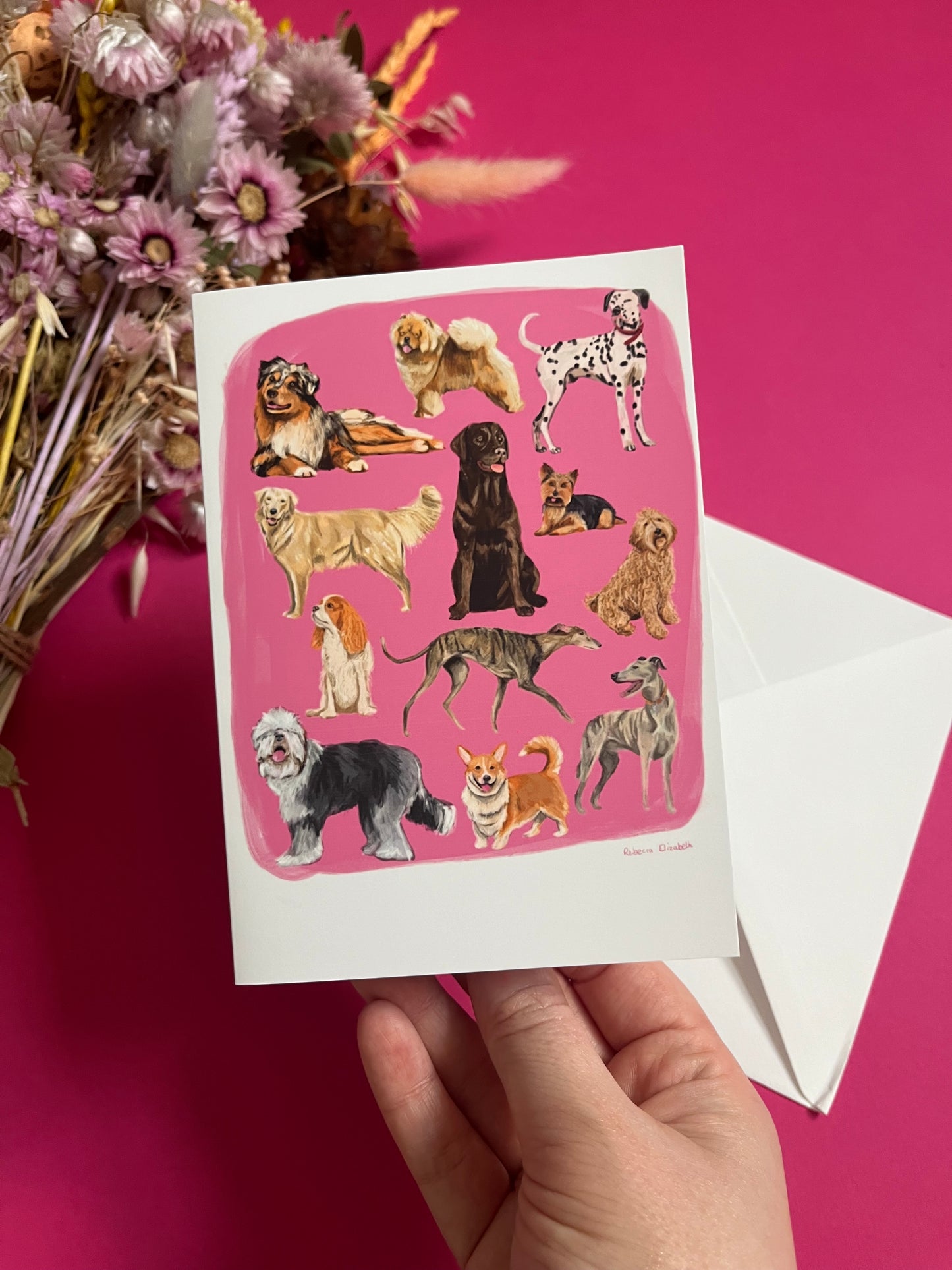 Hand drawn illustration of dogs, from whippets, lurchers, Labradors and Yorkshire terriers and much more. All drawn in a collection on a pink background with a dark green back and the Rebecca Elizabeth Draws logo.
