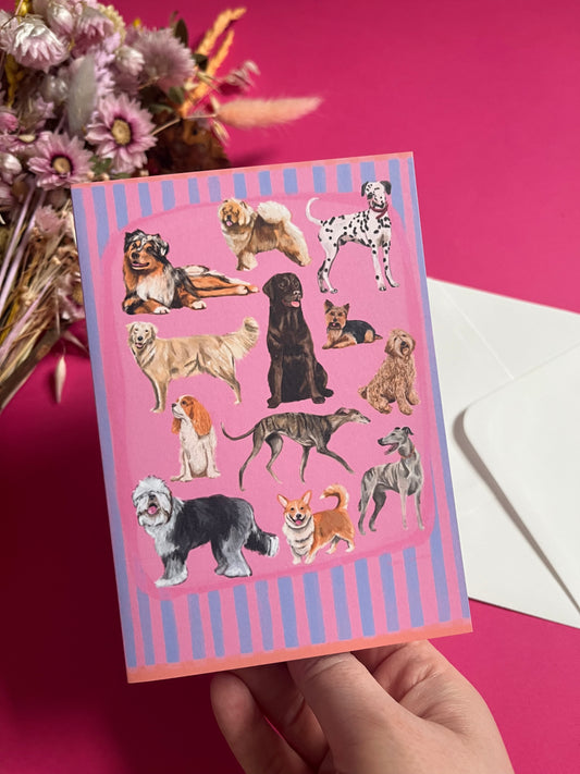 Hand drawn illustration of dogs, from whippets, lurchers, Labradors and Yorkshire terriers and much more. All drawn in a collection on a pink background with blue vertical stripes. An orange horizontal stripe along the top & bottom. The back is pink with the Rebecca Elizabeth Draws logo.
