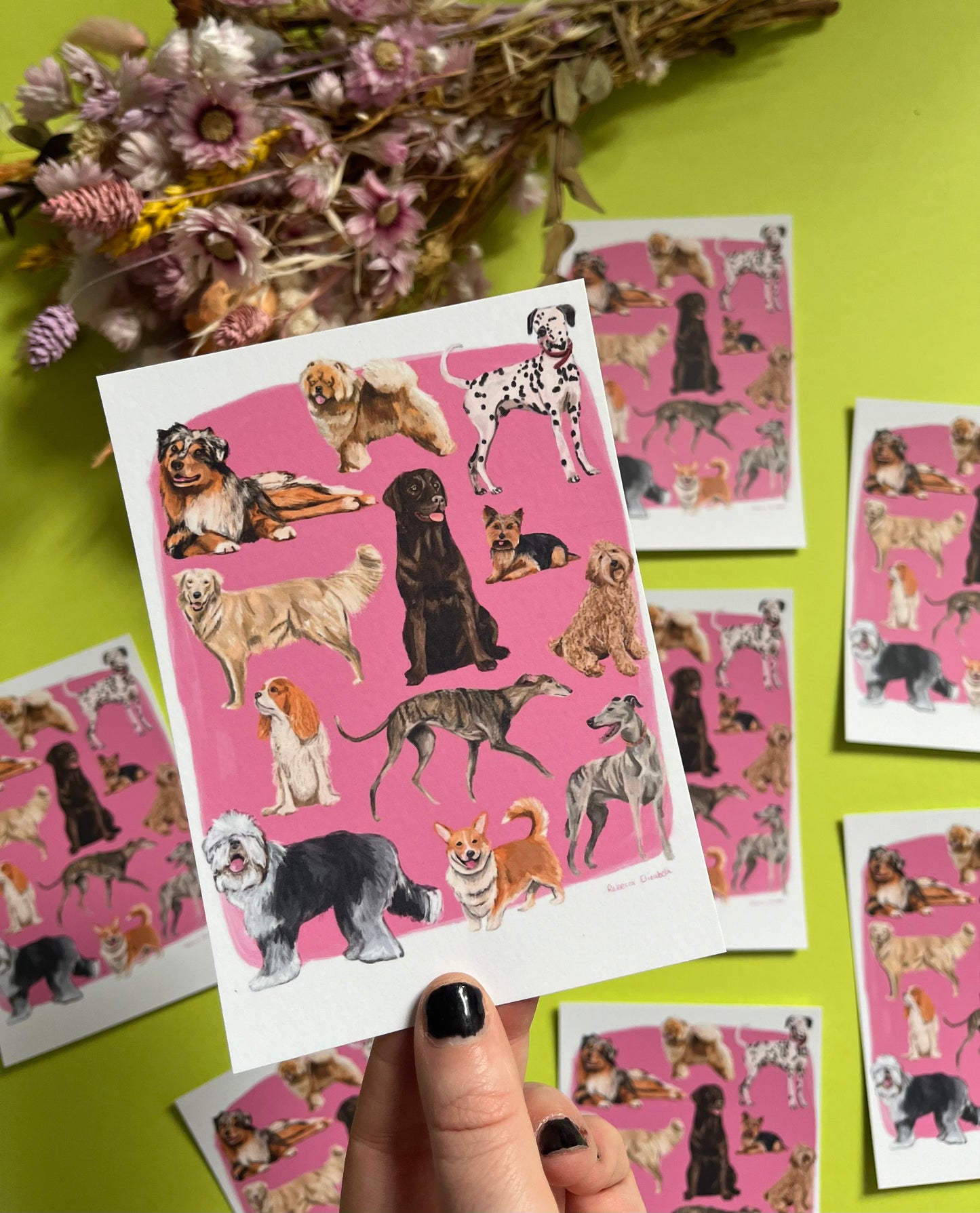Hand drawn illustration of dogs, from whippets, lurchers, Labradors and Yorkshire terriers and much more. All drawn in a collection on a pink background and designed by rebecca Elizabeth draws on a postcard.