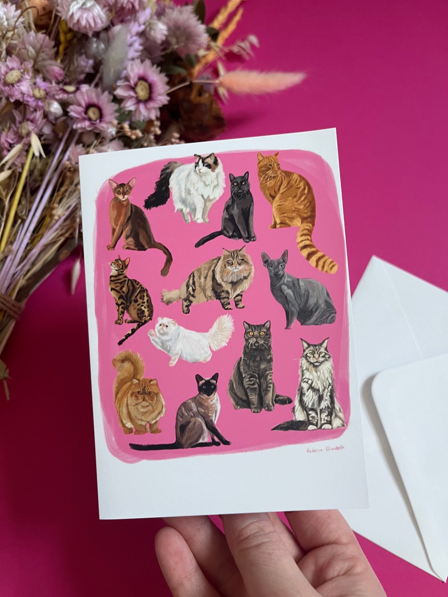 Cat illustrations in a collection on a colourful pink background and a dark green back. Alongside the Rebecca Elizabeth draws logo.