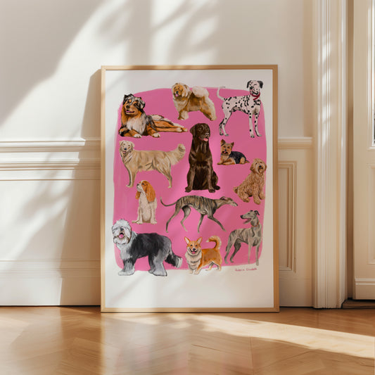 Hand drawn illustration of dogs, from whippets, lurchers, Labradors and Yorkshire terriers and much more. All drawn in a collection on a pink background.