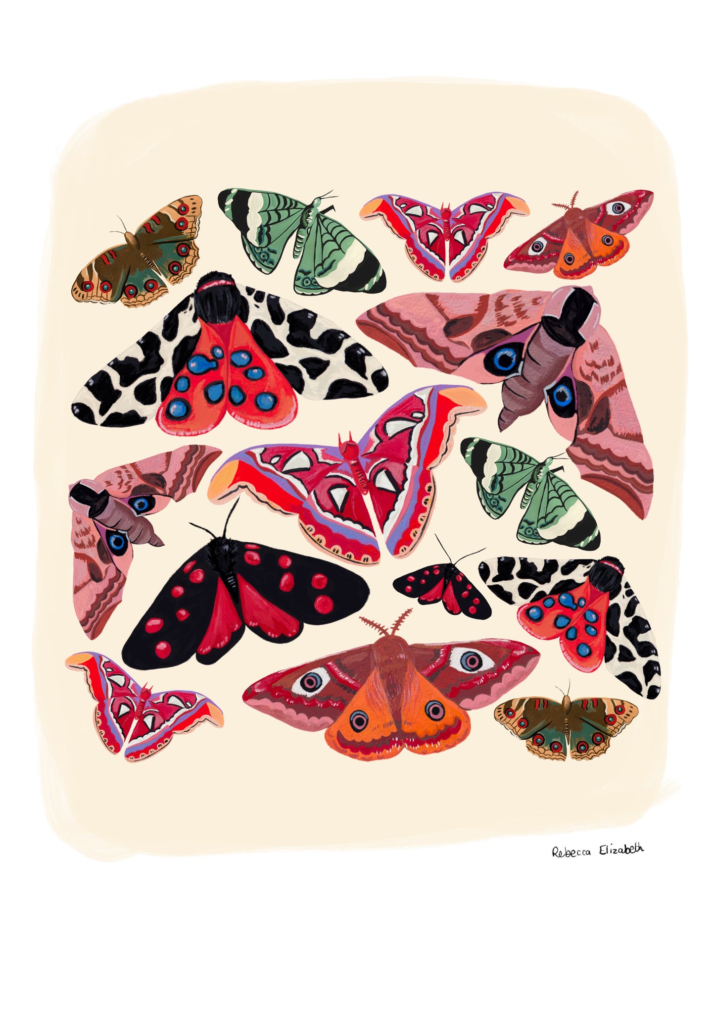 Colourful moths; an atlas moth, garden tiger moth, emperor moth and more. Bright and wonderful butterflies and moths of the world, painted in gouache and edited digitally on procreate into a collaged design on a cream background with a small signature underneath. There is a small signature in black at the right. Designed by Rebecca Gibbs at Rebecca Elizabeth Draws.
