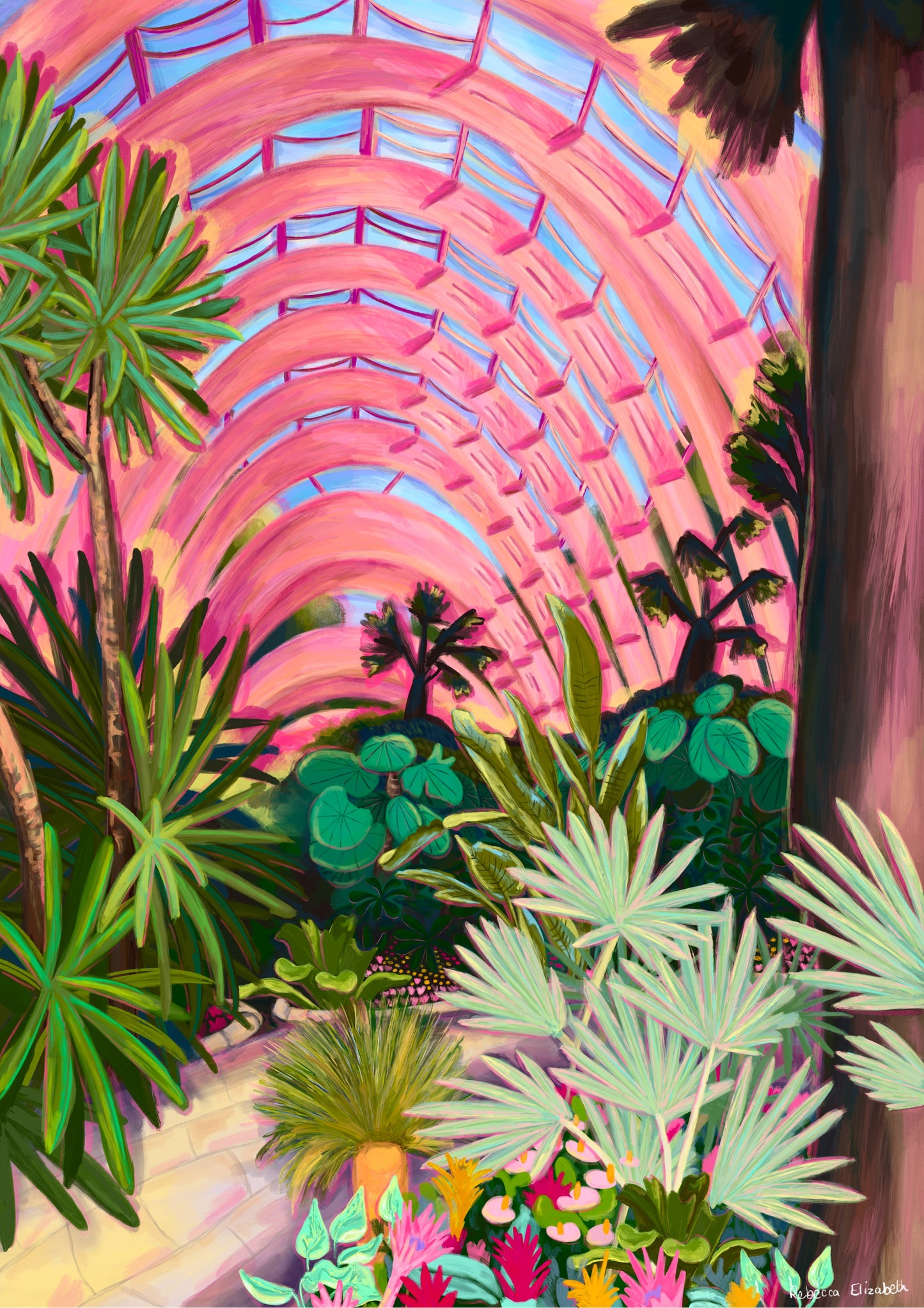 An illustration of the Winter Gardens in Sheffield, an indoor perspective of the glass house full of botanical and tropical plants. Lots of greenery set against the rounded architecture of the ceiling in pink. There is a small signature in white the corner. Designed by Rebecca Gibbs at Rebecca Elizabeth Draws.