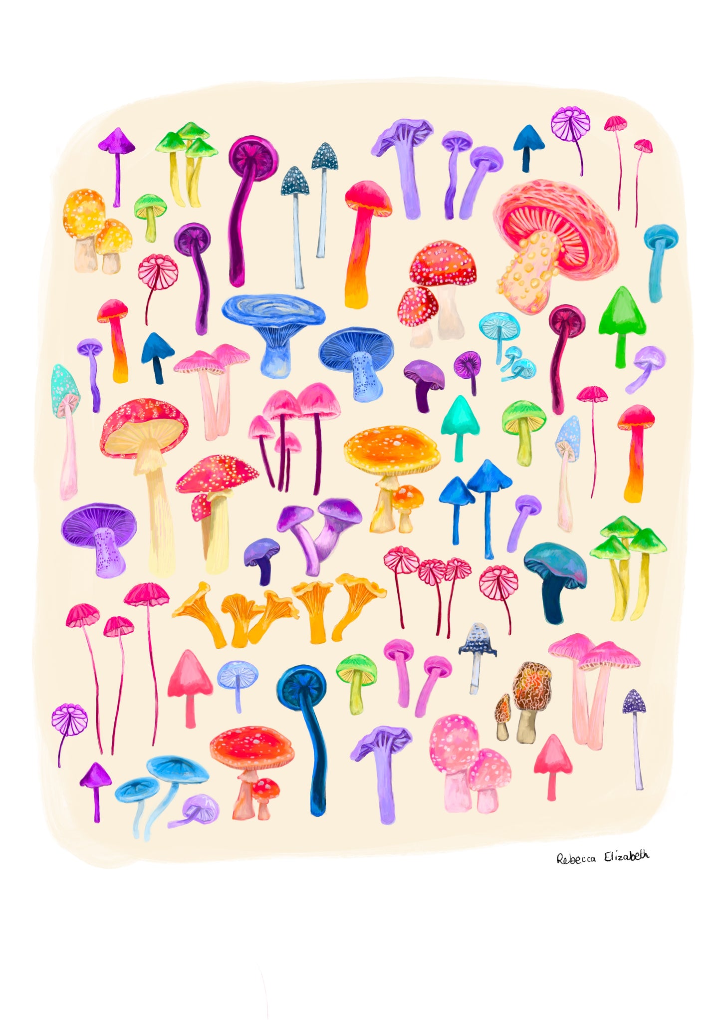 An illustration of all the weird and wonderful mushrooms and fungi you can find. Big ones, small ones, red ones, blue ones and everything inbetween. This illustration is a collaged together piece on a cream background with a small signature in black at the right. Designed by Rebecca Gibbs at Rebecca Elizabeth Draws.