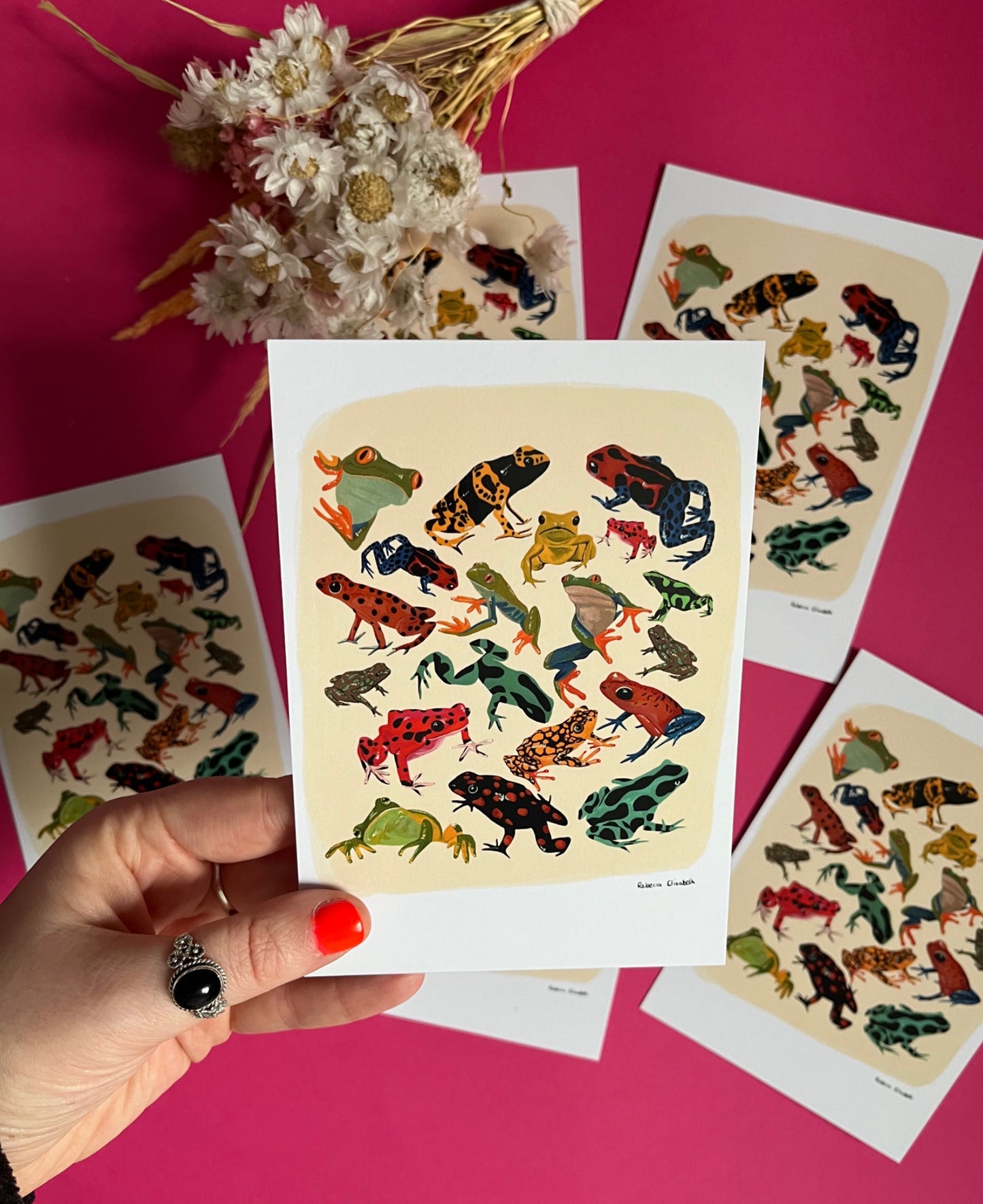 Postcard of colourful frog illustrations in red, yellow, blue, green and brown set against a cream background with a small black signature at the bottom right. Designed by Rebecca Elizabeth Draws.