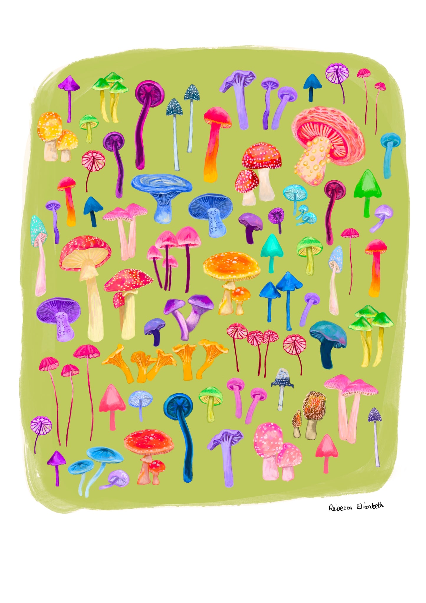 An illustration of all the weird and wonderful mushrooms and fungi you can find. Big ones, small ones, red ones, blue ones and everything inbetween. This illustration is a collaged together piece on a green background with a small signature in black at the right. Designed by Rebecca Gibbs at Rebecca Elizabeth Draws.