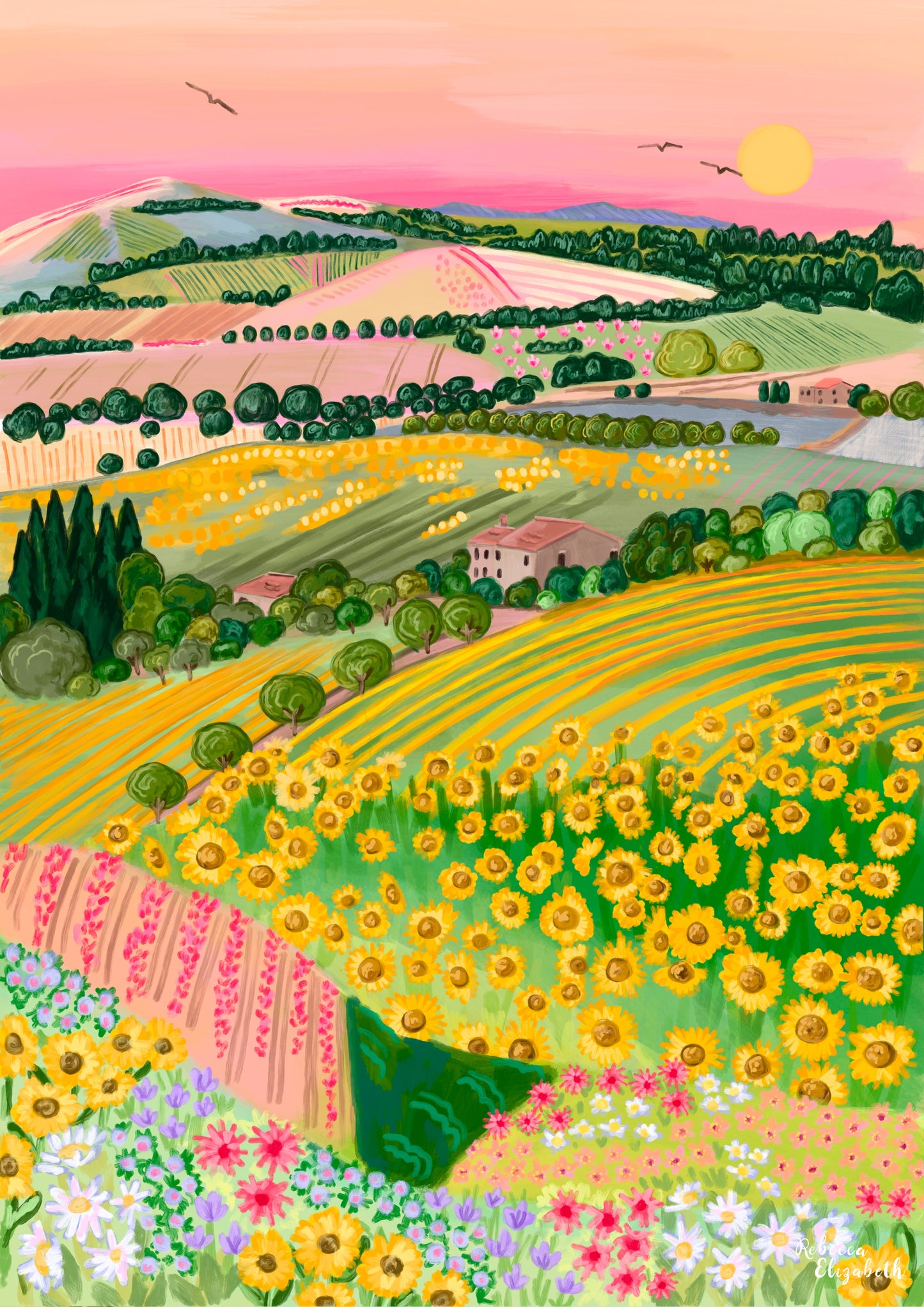 Sunflowers in Tuscany