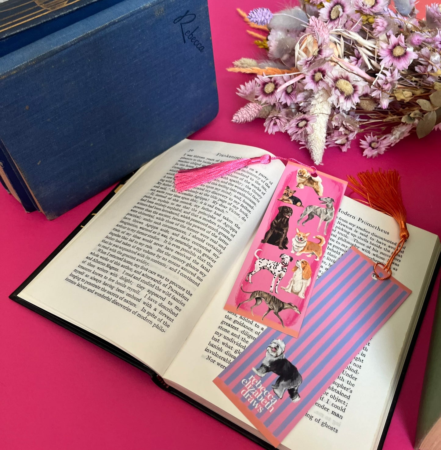 Hand drawn illustration of dogs, from whippets, lurchers, Labradors, Yorkshire terriers & more. All drawn in a collection on a pink background with pink and purple stripes on a bookmark with a pink & purple background & the Rebecca Elizabeth Draws logo.