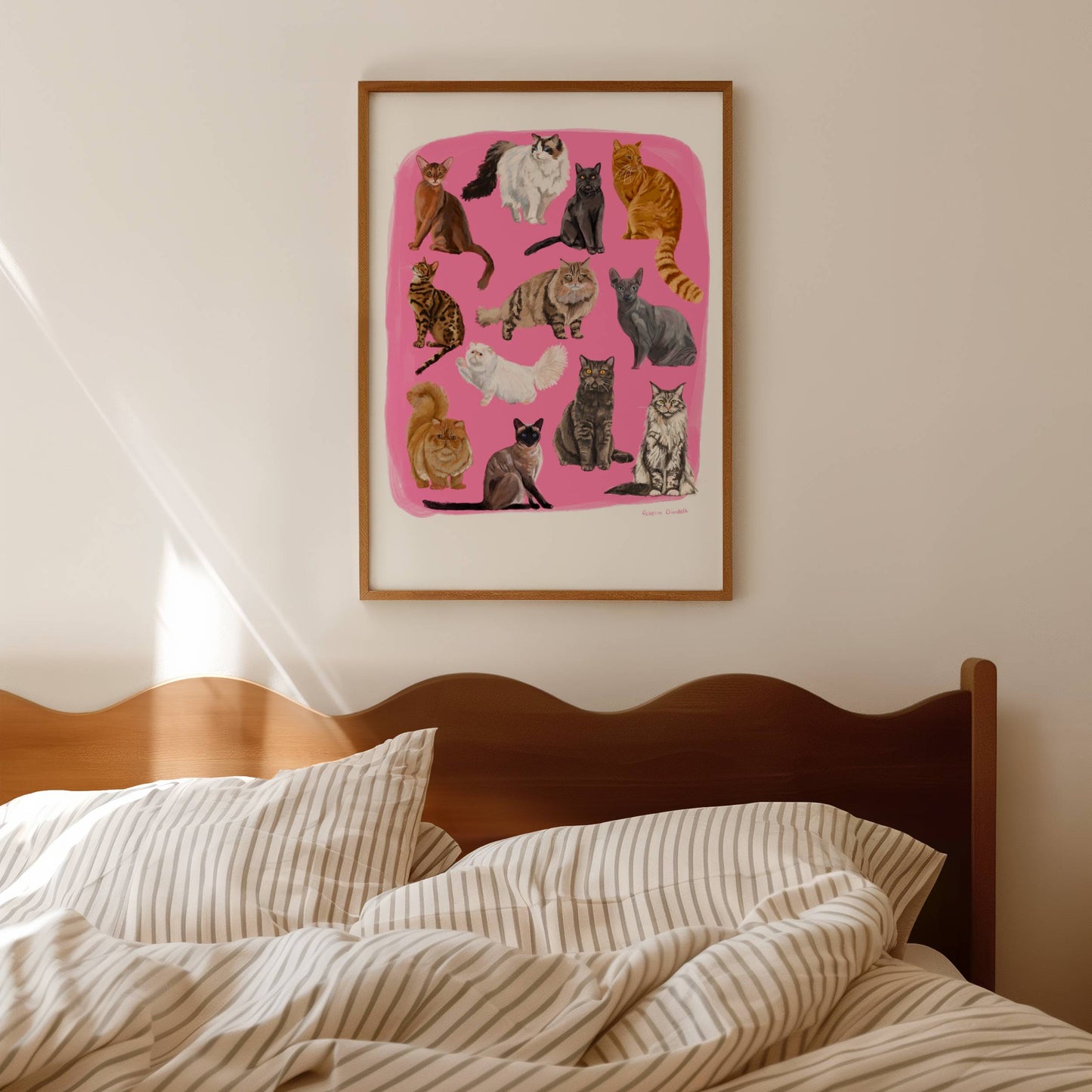 Cat illustrations in a collection on a colourful pink background with a small signature at the bottom. Drawn and designed by rebecca Elizabeth draws.