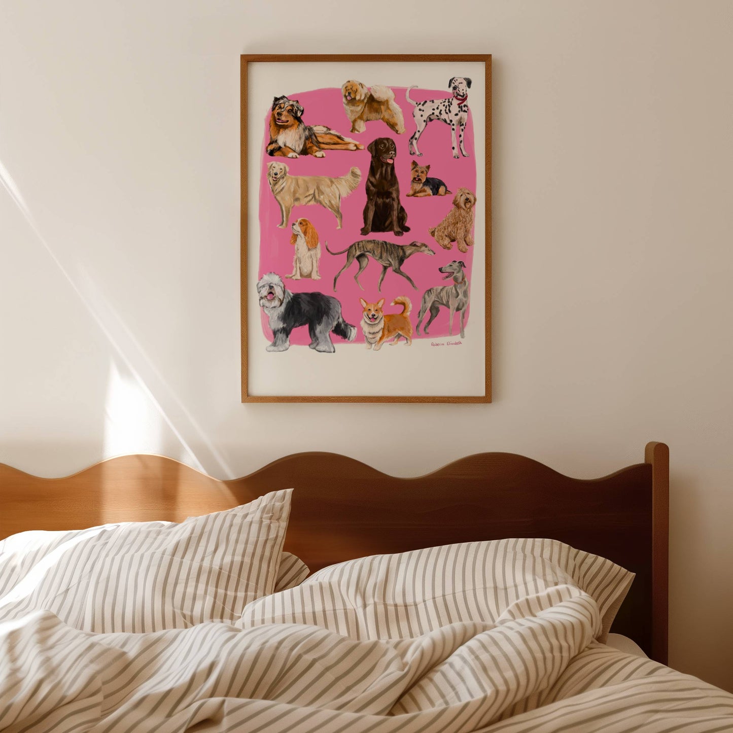 Hand drawn illustration of dogs, from whippets, lurchers, Labradors and Yorkshire terriers and much more. All drawn in a collection on a pink background.