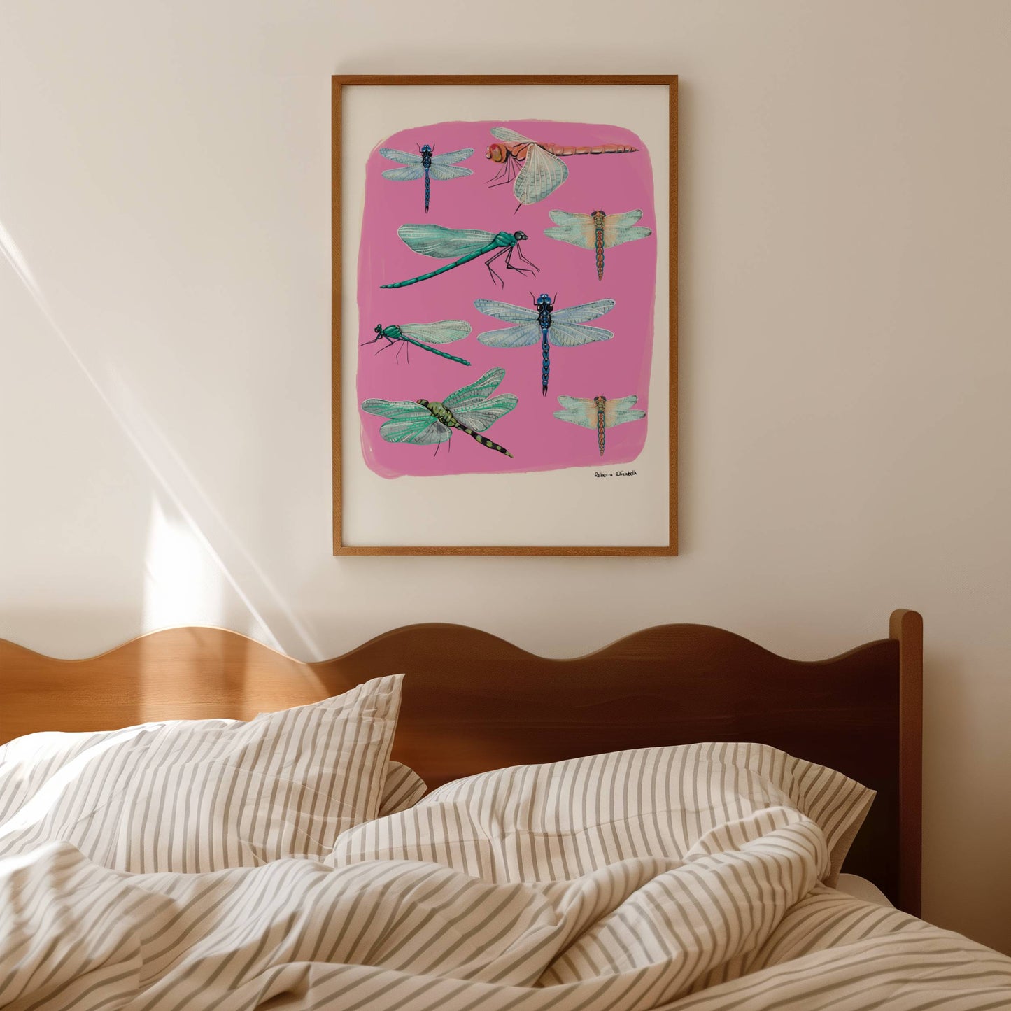 Hand painted dragonflies in gouache and edited digitally onto soft coloured pink backgrounds. Dragonflies in a flat lay composition with lots of intricate details featured. There is a small signature in black at the right. Designed by Rebecca Gibbs at Rebecca Elizabeth Draws.