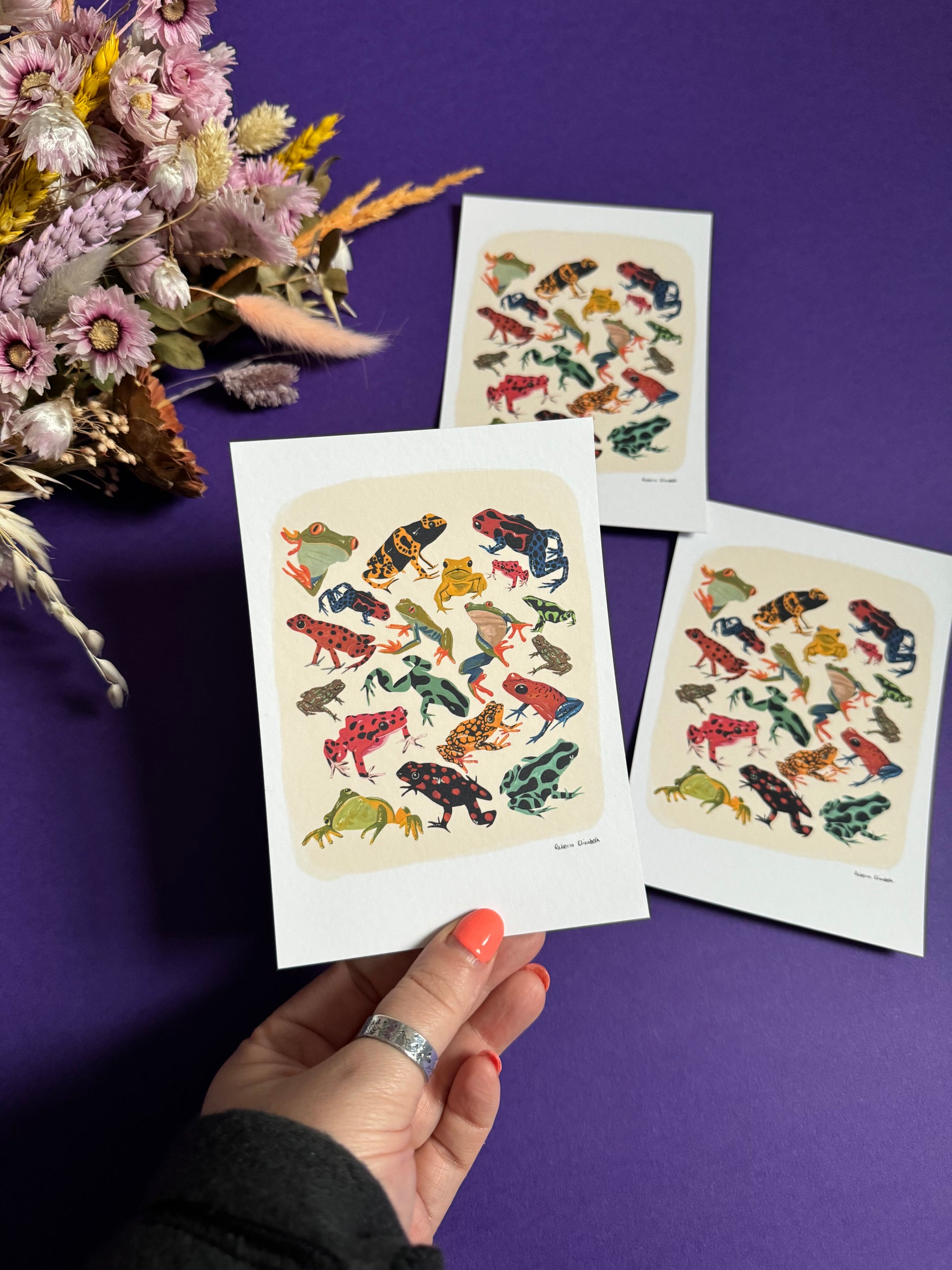 A collection of vibrant froggies to bring a pop of colour to your life. Hand painted rainforest frogs in gouache and edited digitally into a collaged design on a cream background and a small signature underneath. Designed by Rebecca Gibbs at Rebecca Elizabeth Draws.