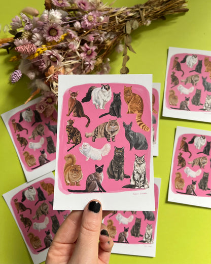 Cat illustrations in a collection on a colourful pink background with a small signature at the bottom. Drawn and designed by rebecca Elizabeth draws on a postcard.