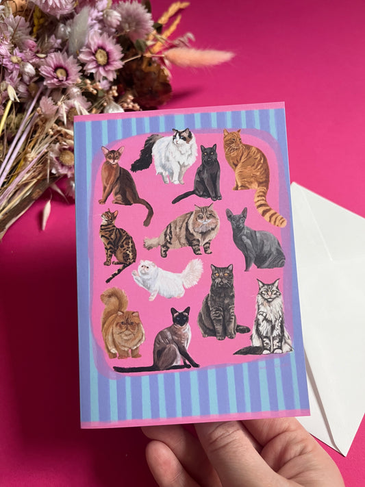 Cards are matt finished on 350 gsm card and are blank inside. Cat illustrations in a collection on a colourful pink background with a small signature at the bottom. Blue background with lighter blue vertical stripes and a pink horizontal stripe along the top & bottom. The back is blue with the Rebecca Elizabeth draws logo. 