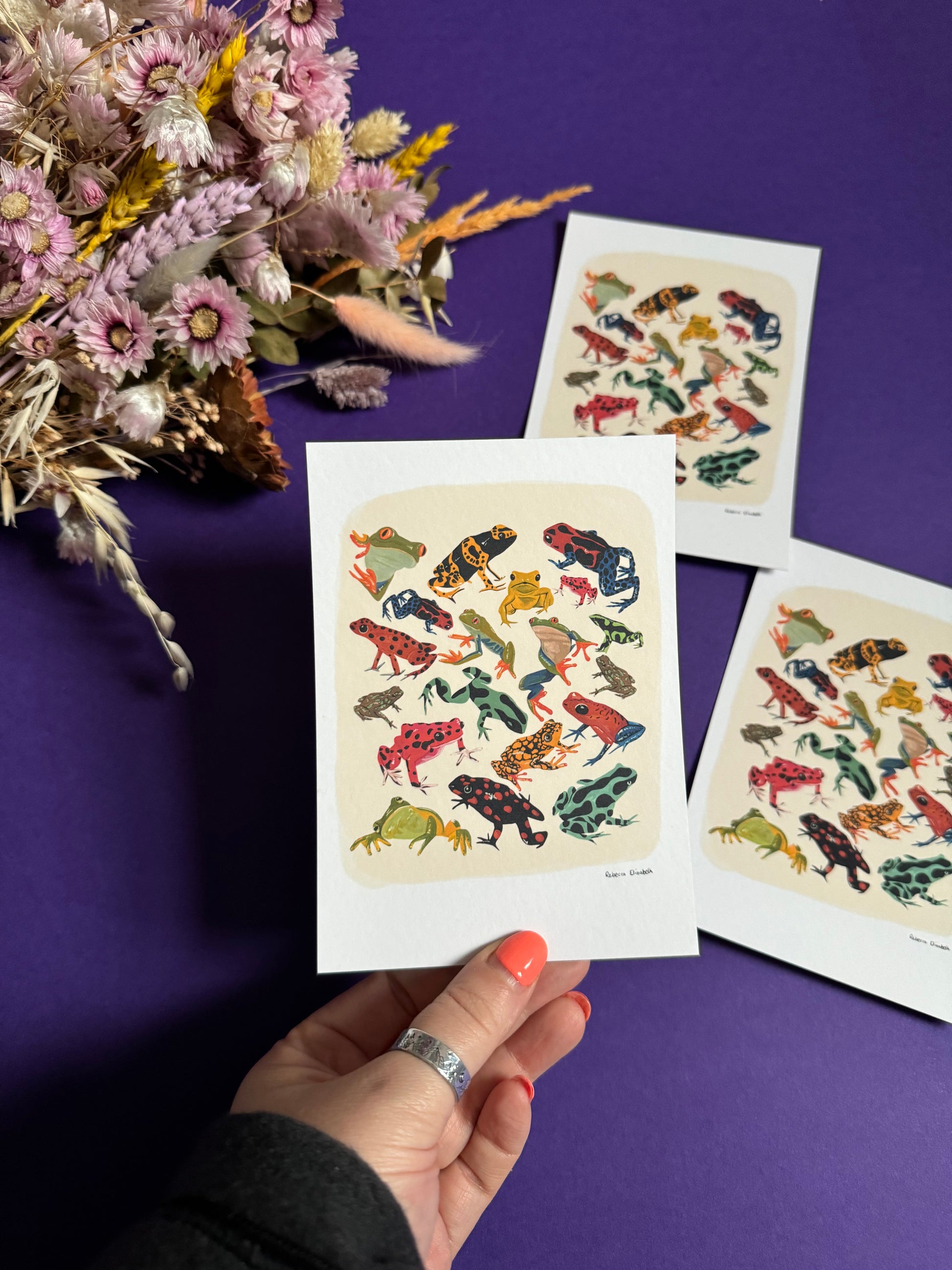 A collection of vibrant froggies to bring a pop of colour to your life. Hand painted rainforest frogs in gouache and edited digitally into a collaged design on a cream background and a small signature underneath. Designed by Rebecca Gibbs at Rebecca Elizabeth Draws.