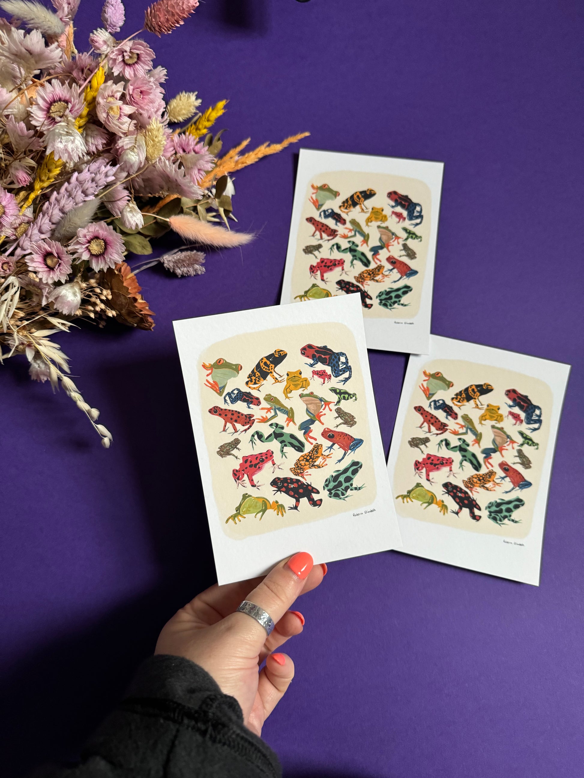 A collection of vibrant froggies to bring a pop of colour to your life. Hand painted rainforest frogs in gouache and edited digitally into a collaged design on a cream background and a small signature underneath. Designed by Rebecca Gibbs at Rebecca Elizabeth Draws.