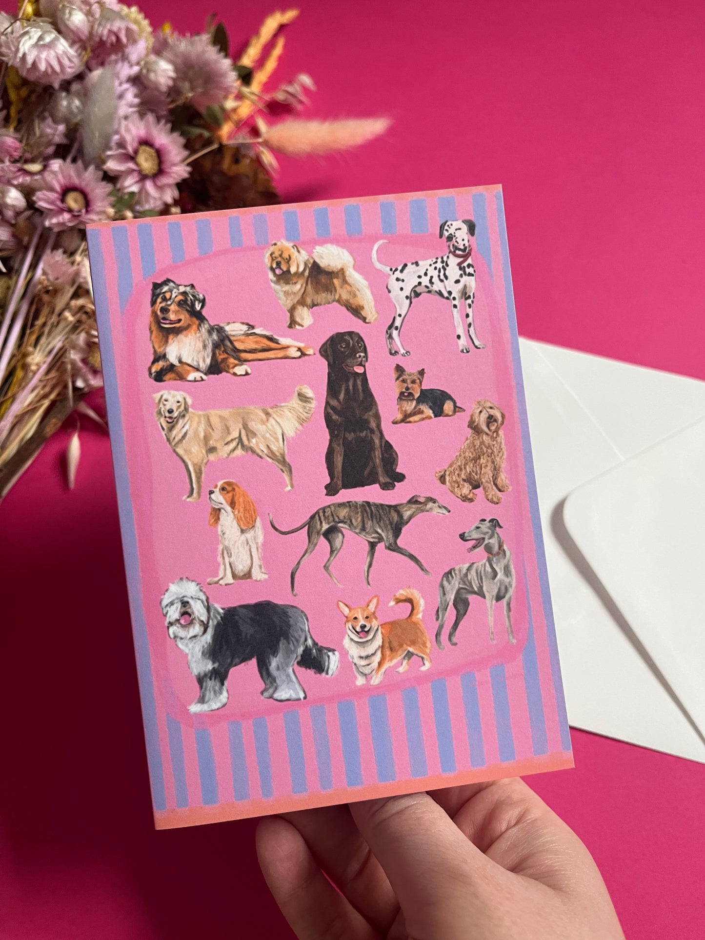 Hand drawn illustration of dogs, from whippets, lurchers, Labradors and Yorkshire terriers and much more. All drawn in a collection on a pink background with blue vertical stripes. An orange horizontal stripe along the top & bottom. The back is pink with the Rebecca Elizabeth Draws logo. 