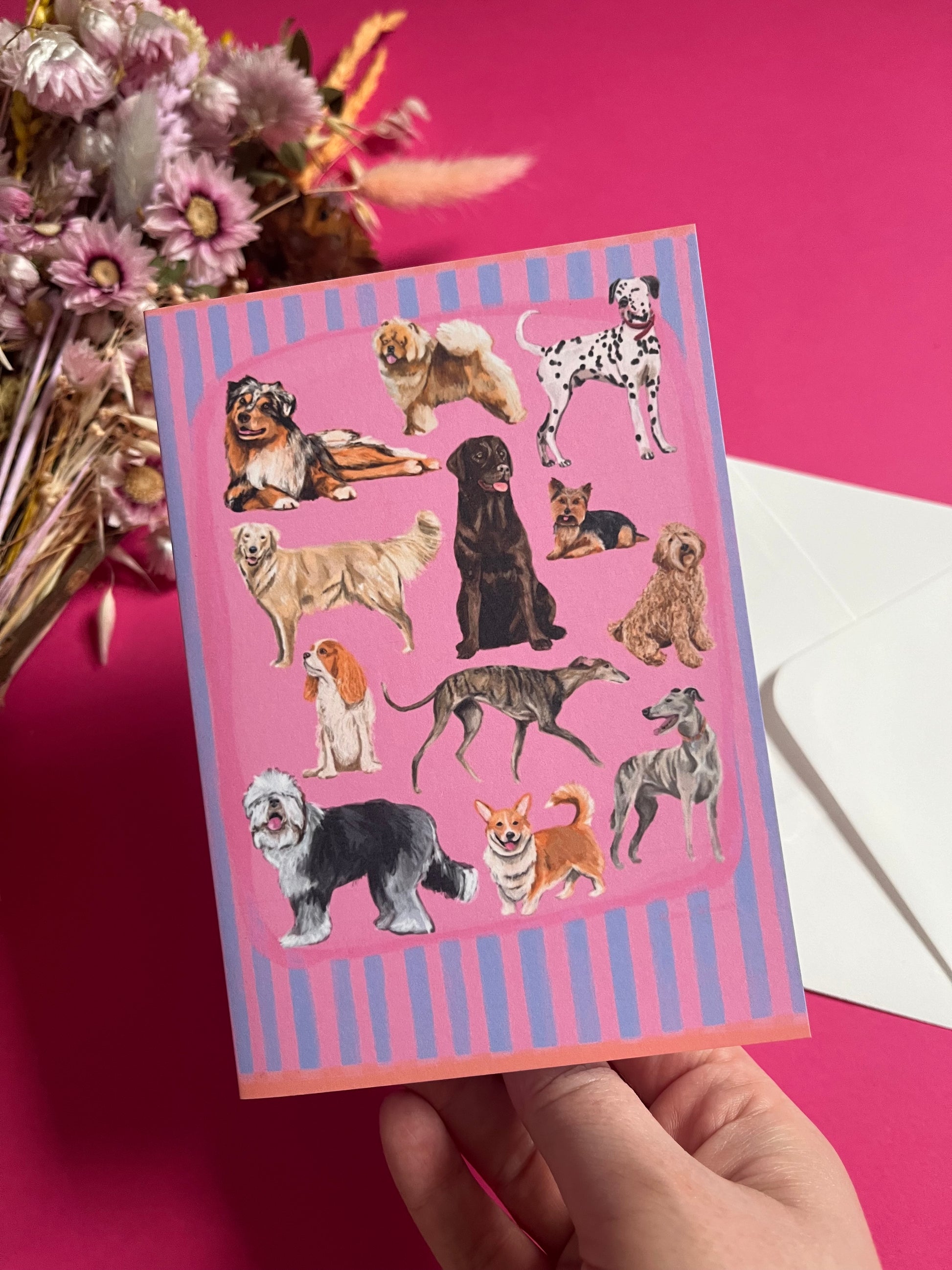 Hand drawn illustration of dogs, from whippets, lurchers, Labradors and Yorkshire terriers and much more. All drawn in a collection on a pink background with blue vertical stripes. An orange horizontal stripe along the top & bottom. The back is pink with the Rebecca Elizabeth Draws logo. 