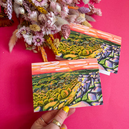 Colorful landscape postcards held against a pink background with dried flowers.
