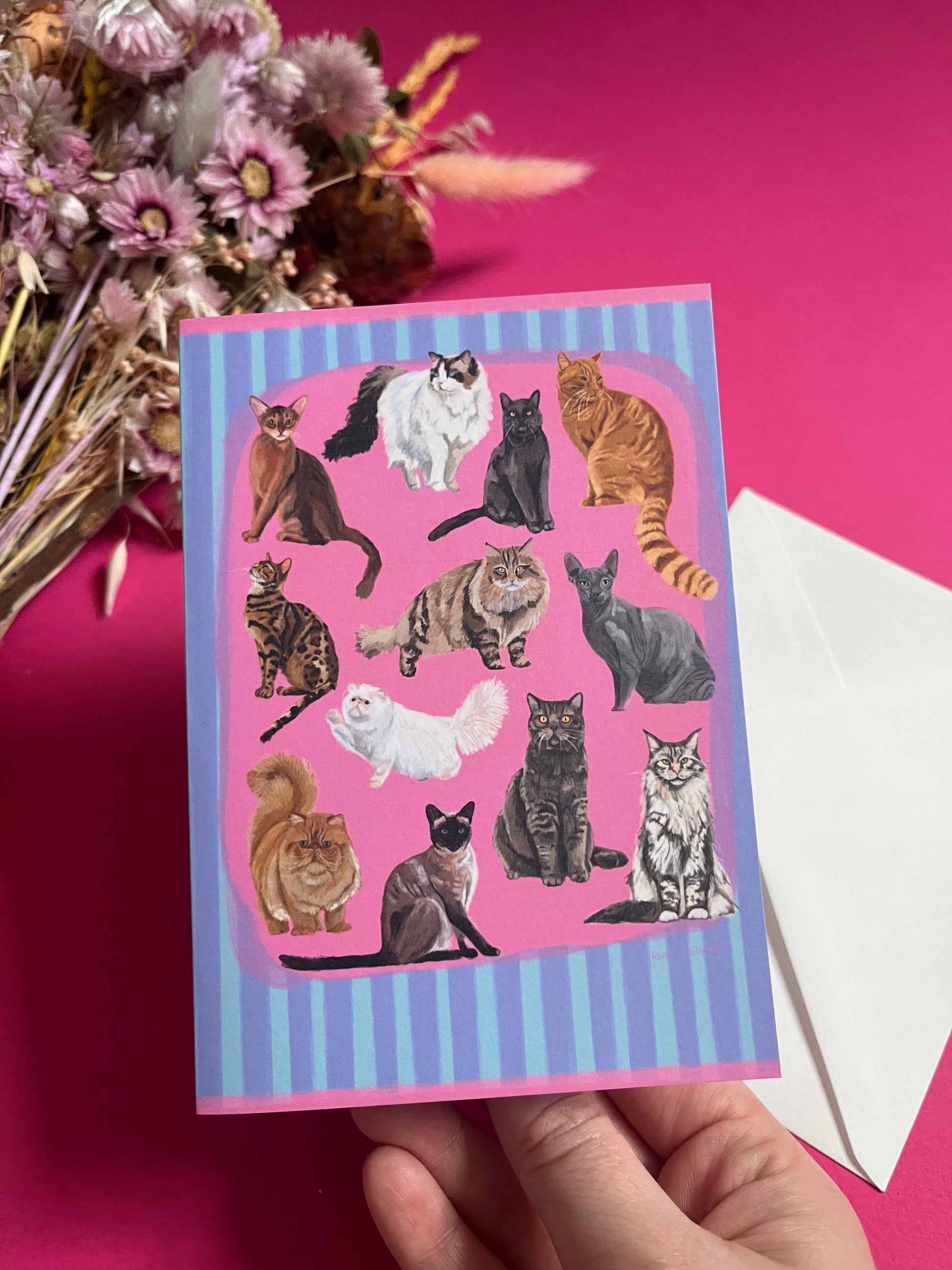 Cat illustrations in a collection on a colourful pink background with a small signature at the bottom. Blue background with lighter blue vertical stripes and a pink horizontal stripe along the top & bottom. The back is blue with the Rebecca Elizabeth draws logo. 