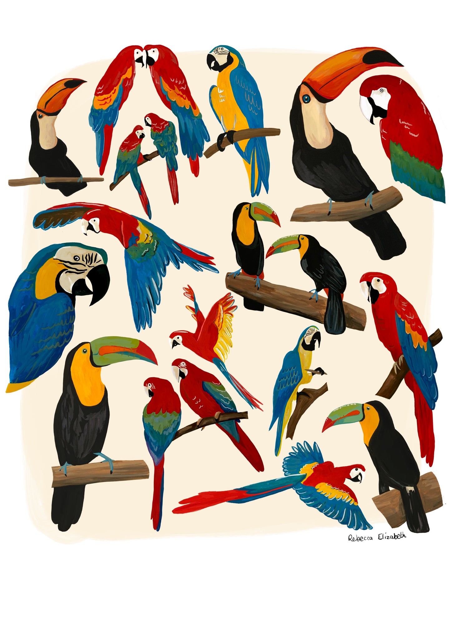 A collection of hand painted rainforest birds (parrot and toucan) in gouache and edited digitally into a collaged design on a cream background and a small signature underneath. Designed by Rebecca Gibbs at Rebecca Elizabeth Draws.