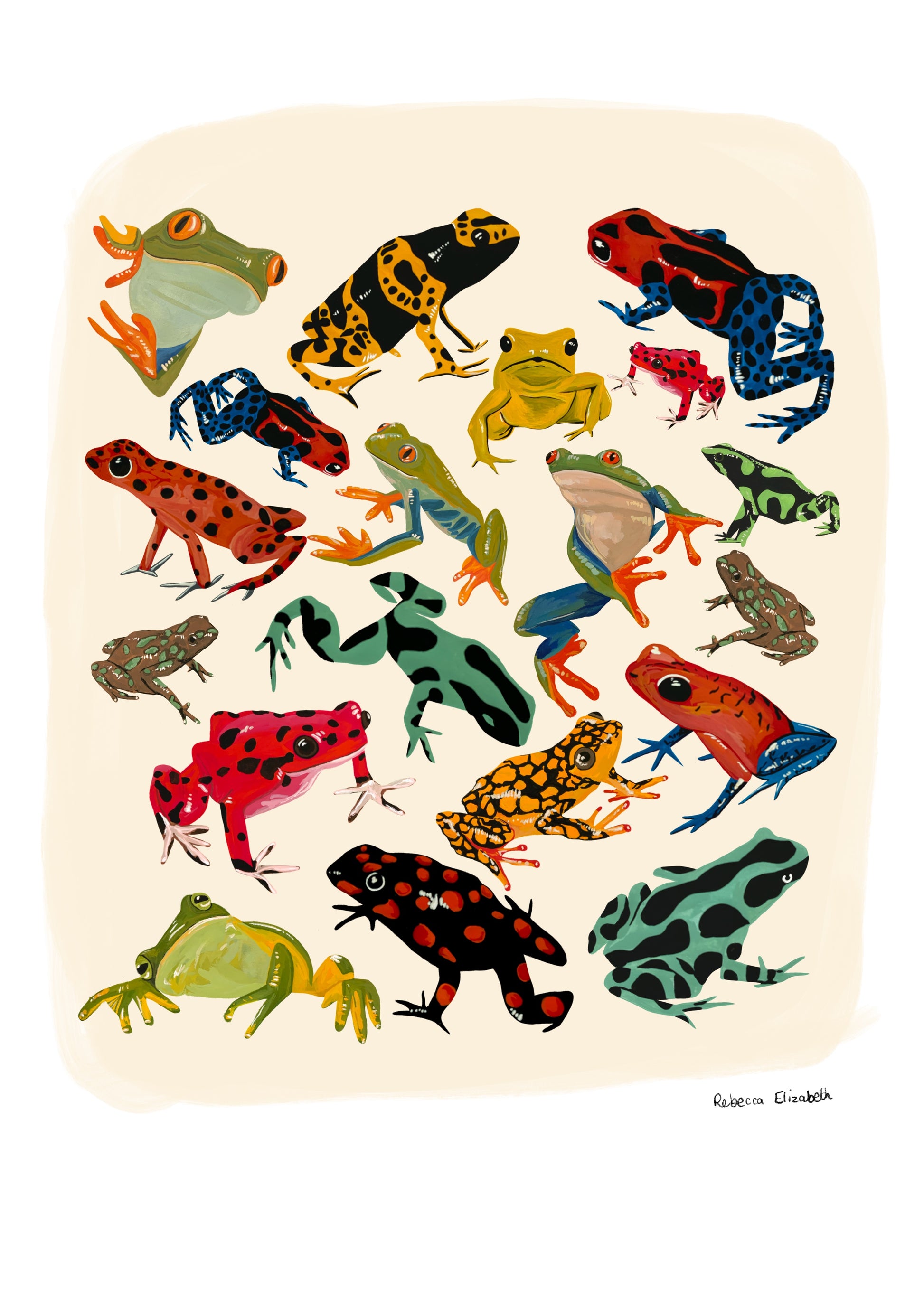 A collection of vibrant froggies to bring a pop of colour to your life. Hand painted rainforest frogs in gouache and edited digitally into a collaged design on a cream background and a small signature underneath. Designed by Rebecca Gibbs at Rebecca Elizabeth Draws.