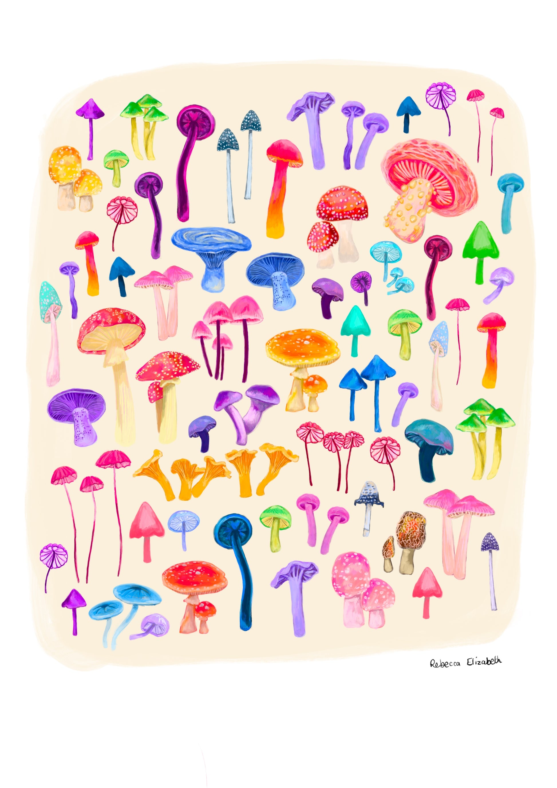 An illustration of all the weird and wonderful mushrooms and fungi you can find. Big ones, small ones, red ones, blue ones and everything inbetween. This illustration is a collaged together piece on a cream background with a small signature in black at the right.  Designed by Rebecca Gibbs at Rebecca Elizabeth Draws.