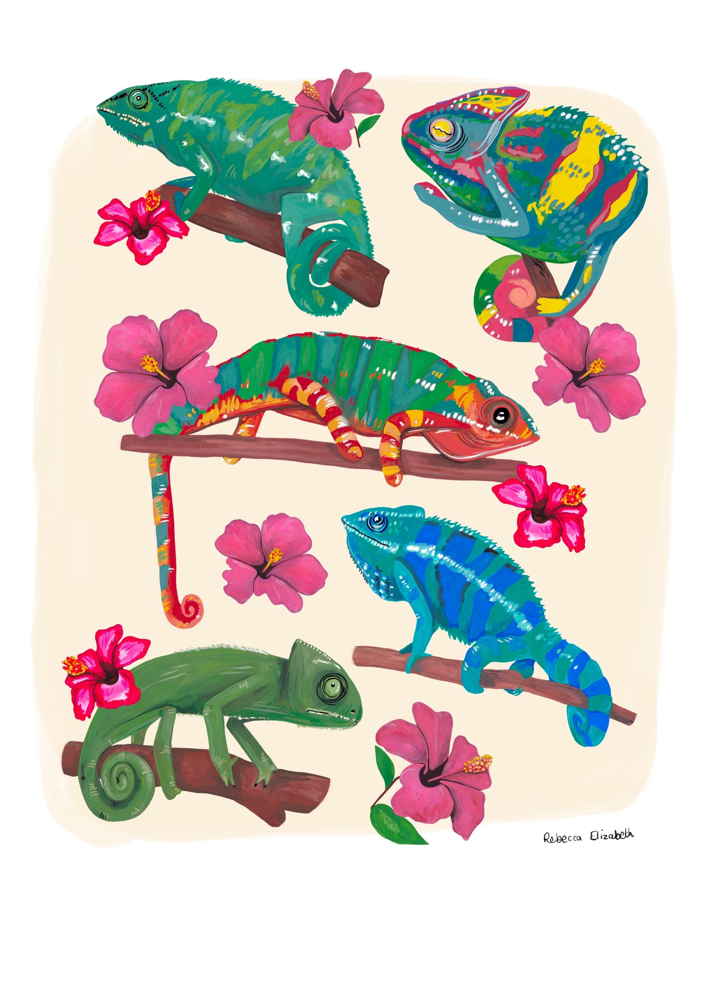 A collection of vibrant lizards to bring a pop of colour to your life. Hand painted lizards in gouache and edited digitally into a collaged design on a cream background and a small signature underneath.