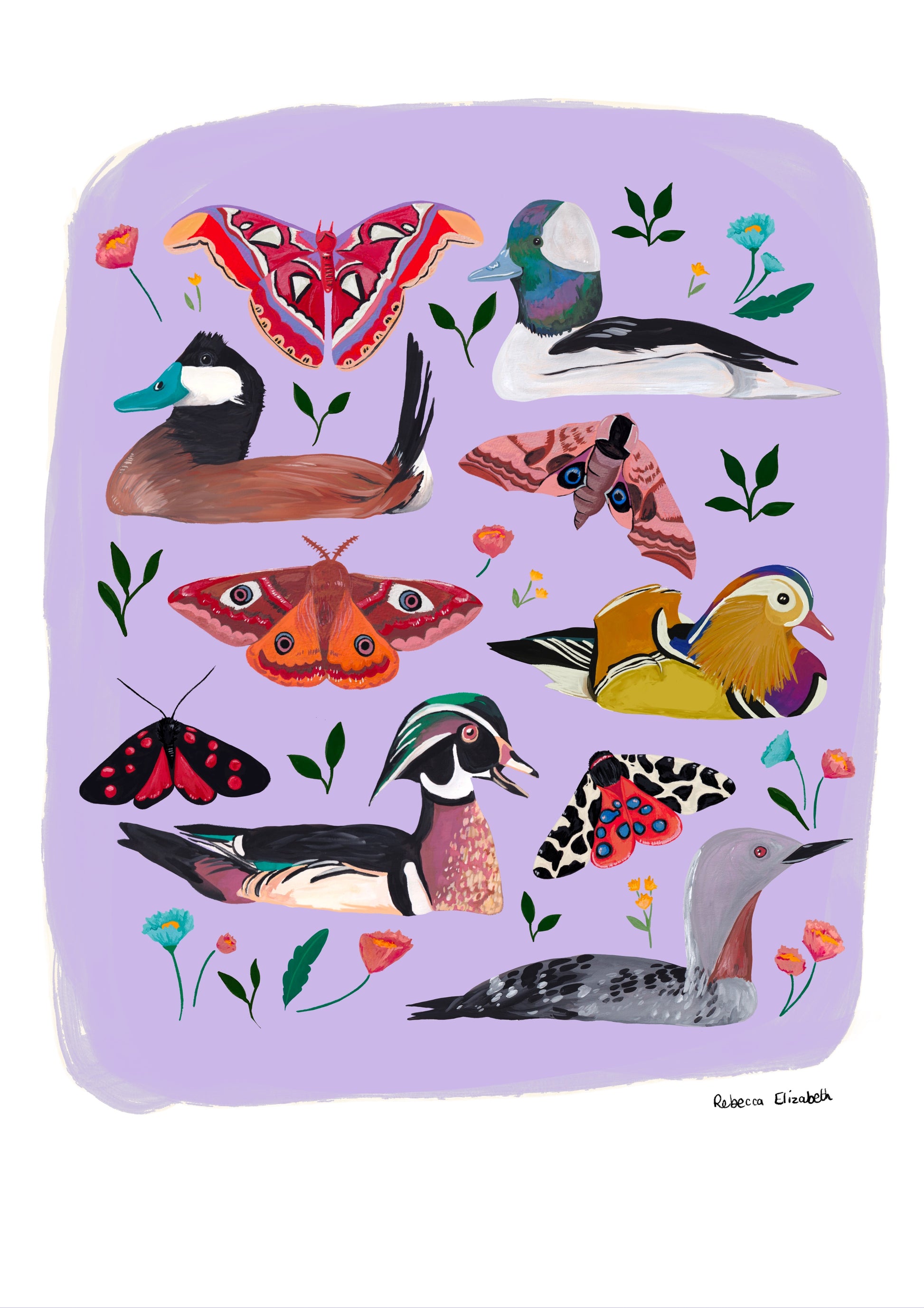 A collection of wildflowers, butterflies, moths and ducks hand painted in gouache and edited digitally into a collaged design on a light green background and a small signature underneath.