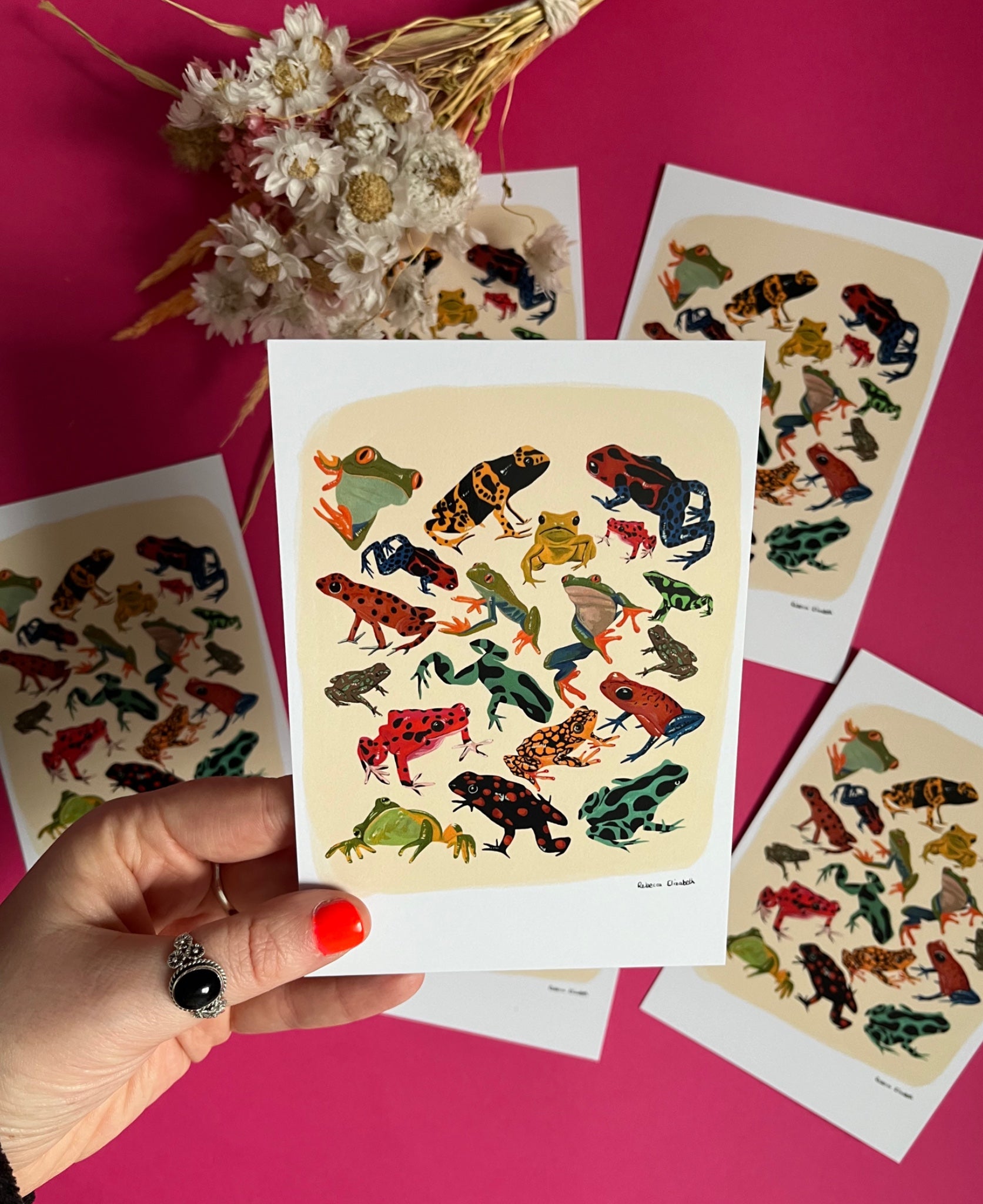 Postcard of colourful frog illustrations in red, yellow, blue, green and brown set against a cream background with a small black signature at the bottom right. Designed by Rebecca Elizabeth Draws. 