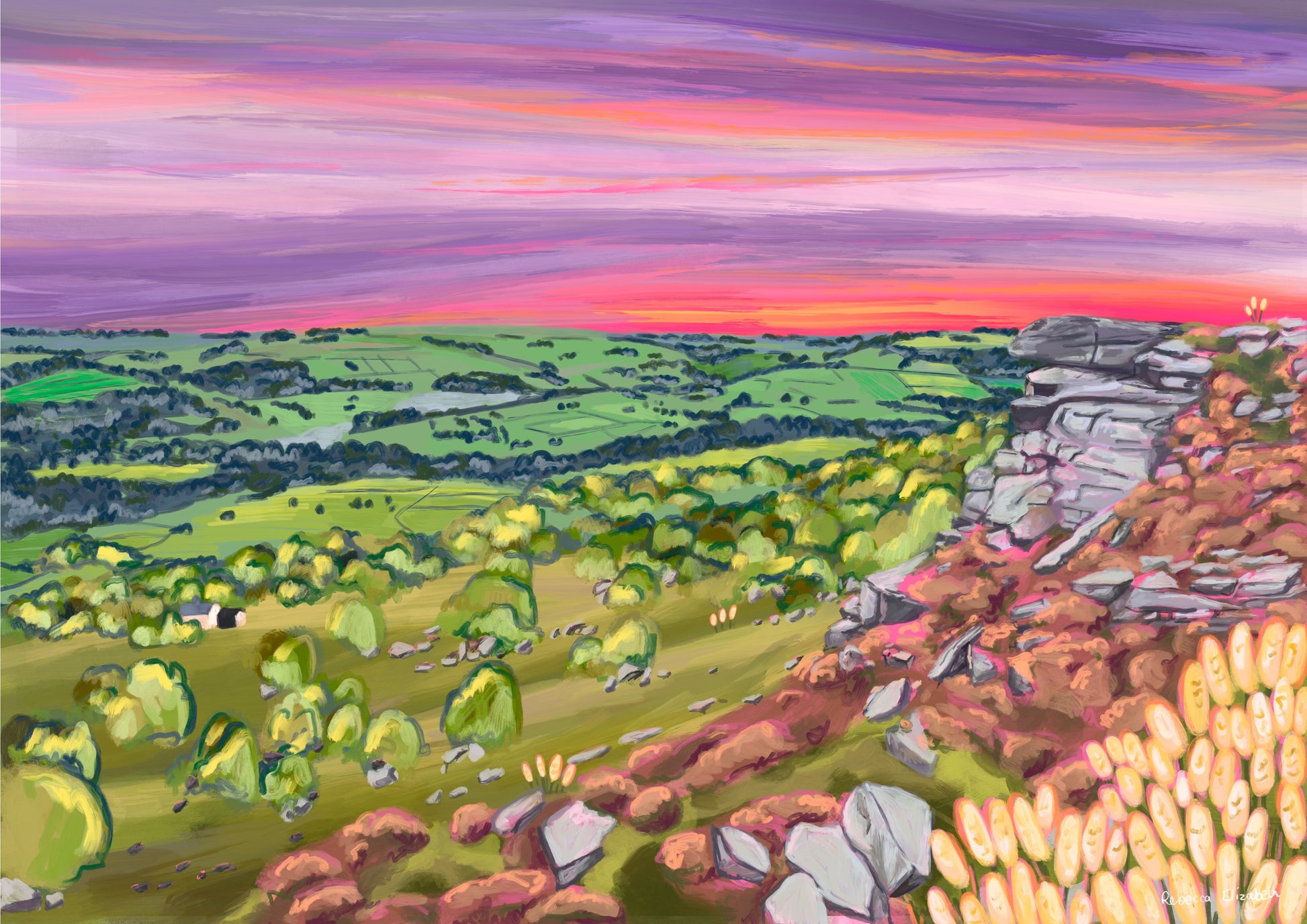 A colourful illustration of Curbar edge, Derbyshire with the rock formation to the right covered in pink and golden flowers, yellow flowers in the foreground and then rolling hills to the left with lots of greenery and trees. A stunning bright pink and purple sunset across the sky.  Designed by  Rebecca Elizabeth draws. 