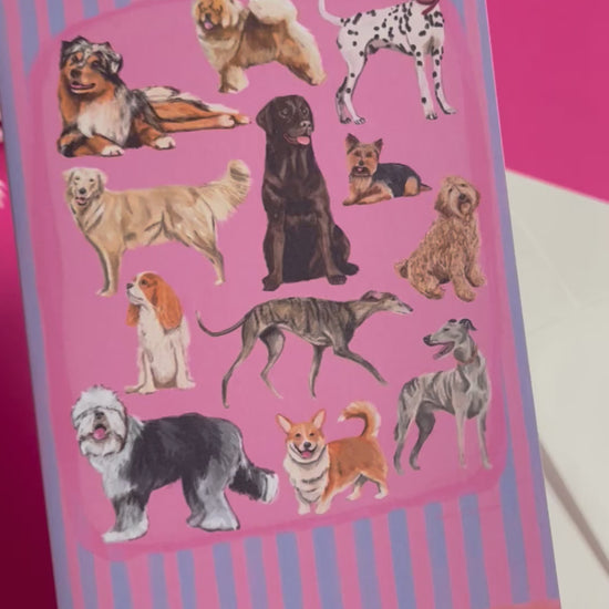 Hand drawn illustration of dogs, from whippets, lurchers, Labradors and Yorkshire terriers and much more. All drawn in a collection on a pink background with blue vertical stripes. An orange horizontal stripe along the top & bottom. The back is pink with the Rebecca Elizabeth Draws logo. 