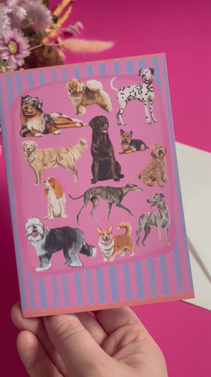 Hand drawn illustration of dogs, from whippets, lurchers, Labradors and Yorkshire terriers and much more. All drawn in a collection on a pink background with blue vertical stripes. An orange horizontal stripe along the top & bottom. The back is pink with the Rebecca Elizabeth Draws logo. 