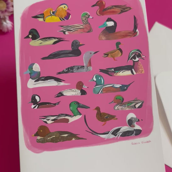 A collection of ducks and birds, hand painted in gouache and then edited digitally into a collaged design on a pink background with the Rebecca Elizabeth Draws logo on the back.