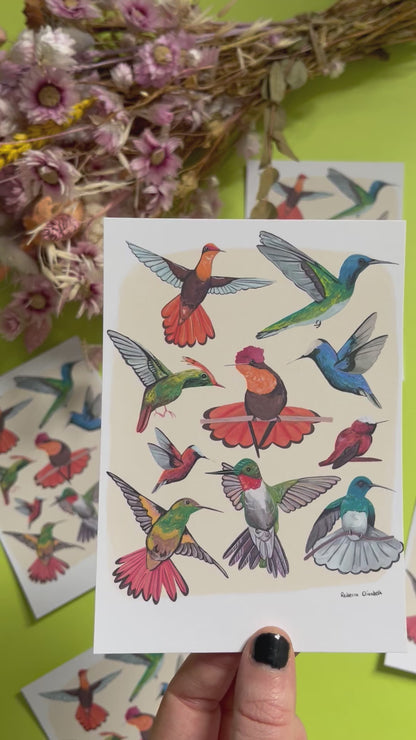 Hummingbirds hand painted in gouache and edited together digitally on a cream background with a small signature featured in the right hand corner. These small birds are green, blue, red, orange and yellow. Designed by Rebecca Gibbs on a postcard at Rebecca Elizabeth Draws.