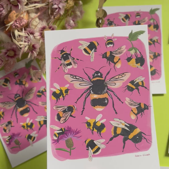 Hand painted bumble bee illustrations compiled together on a pink background, small bees big bees, bees with flowers. A big collection of bees illustrated by Rebecca Elizabeth Draws on a postcard. 