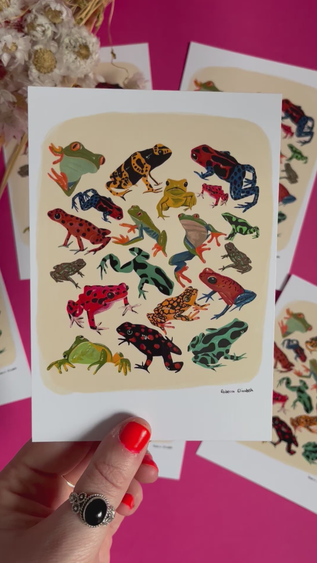 video of Postcard of colourful frog illustrations in red, yellow, blue, green and brown set against a cream background with a small black signature at the bottom right. Designed by Rebecca Elizabeth Draws. 