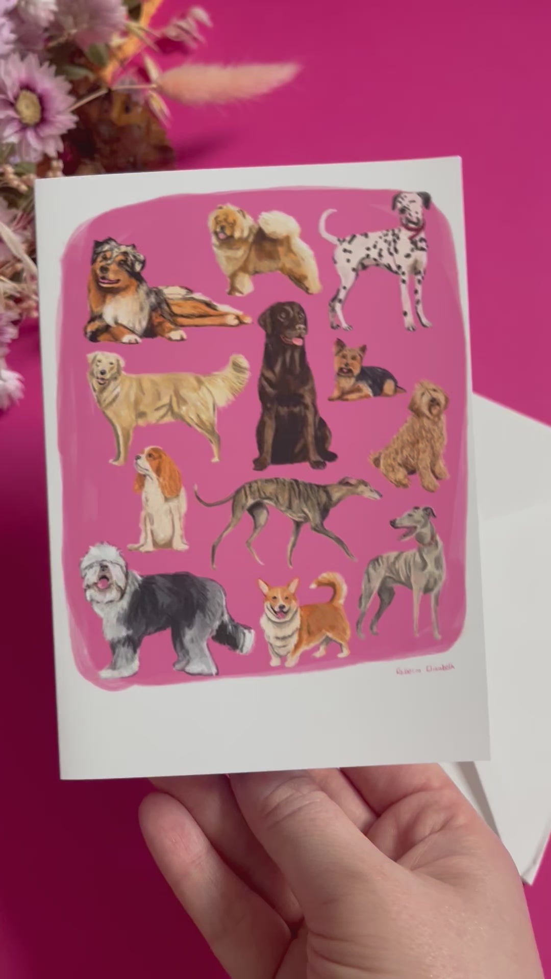 Hand drawn illustration of dogs, from whippets, lurchers, Labradors and Yorkshire terriers and much more. All drawn in a collection on a pink background with a dark green back and the Rebecca Elizabeth Draws logo. 