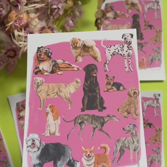 Hand drawn illustration of dogs, from whippets, lurchers, Labradors and Yorkshire terriers and much more. All drawn in a collection on a pink background and designed by rebecca Elizabeth draws on a postcard. 