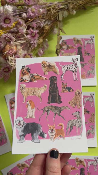 Hand drawn illustration of dogs, from whippets, lurchers, Labradors and Yorkshire terriers and much more. All drawn in a collection on a pink background and designed by rebecca Elizabeth draws on a postcard. 