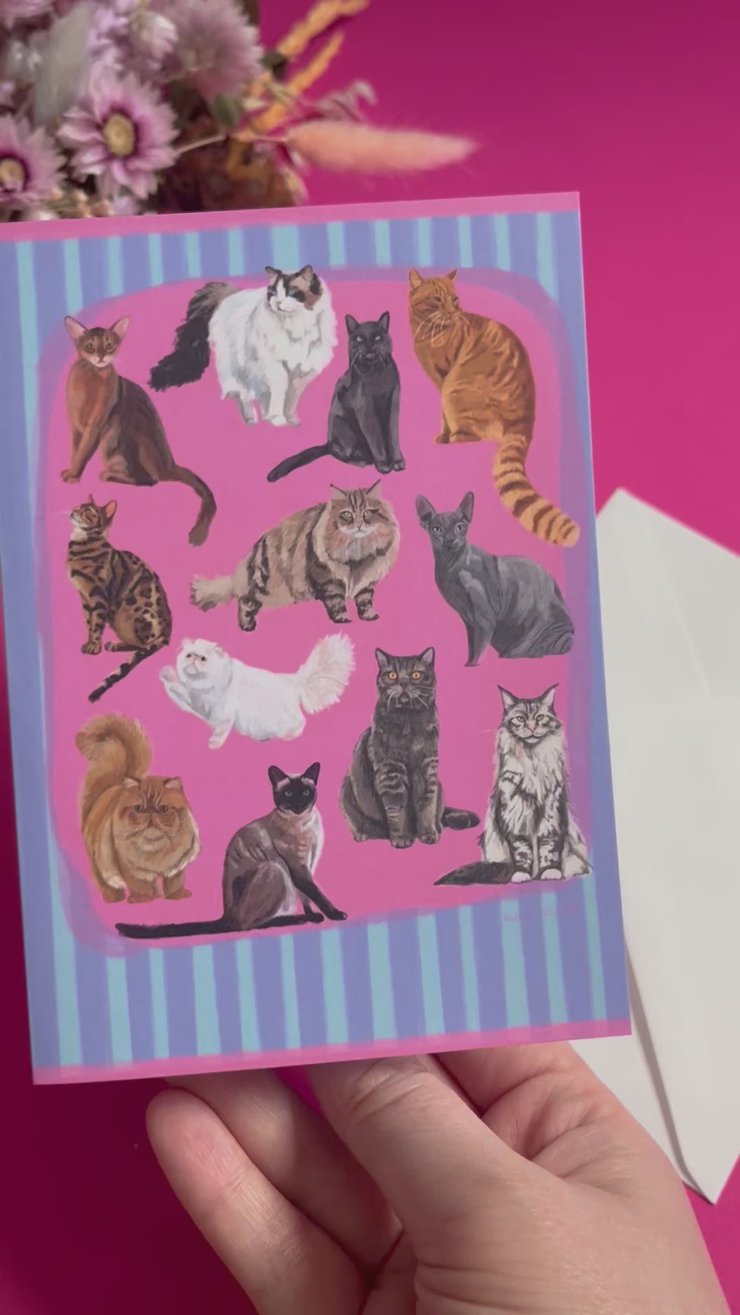 Cat illustrations in a collection on a colourful pink background with a small signature at the bottom. Blue background with lighter blue vertical stripes and a pink horizontal stripe along the top & bottom. The back is blue with the Rebecca Elizabeth draws logo. 