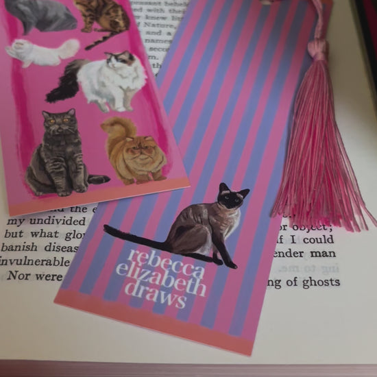 Cat illustrations on a bookmark, with a pink front and a pink and blue striped back with a tassel colour of your choice.