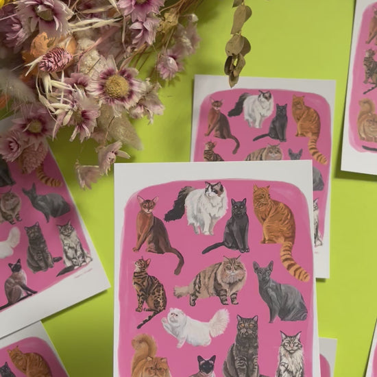 Cat illustrations in a collection on a colourful pink background with a small signature at the bottom. Drawn and designed by rebecca Elizabeth draws on a postcard.