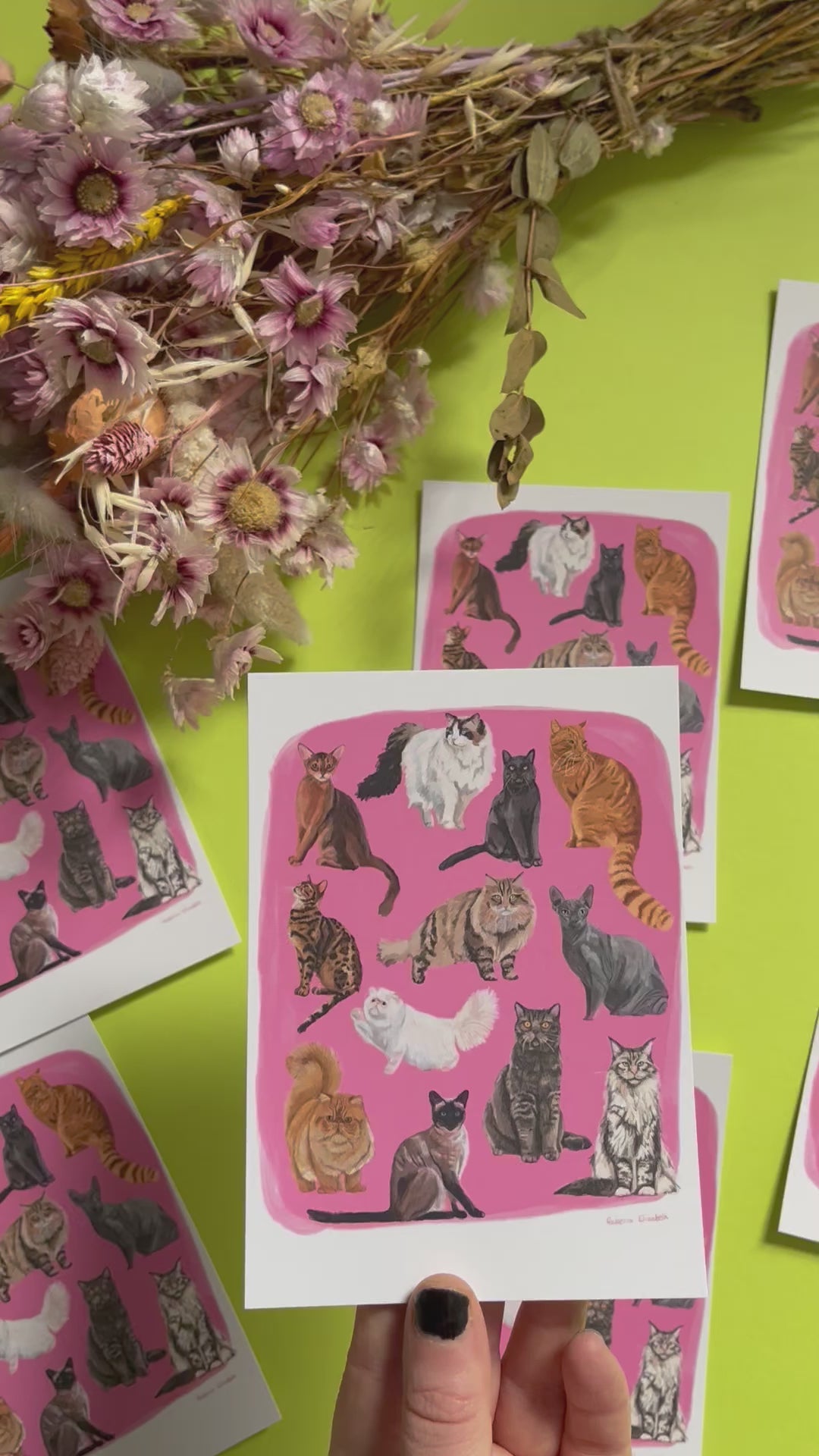 Cat illustrations in a collection on a colourful pink background with a small signature at the bottom. Drawn and designed by rebecca Elizabeth draws on a postcard.