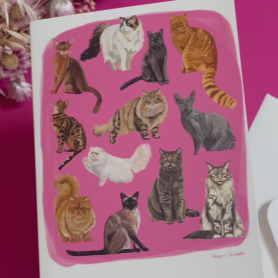 Cat illustrations in a collection on a colourful pink background and a dark green back. Alongside the Rebecca Elizabeth draws logo. 