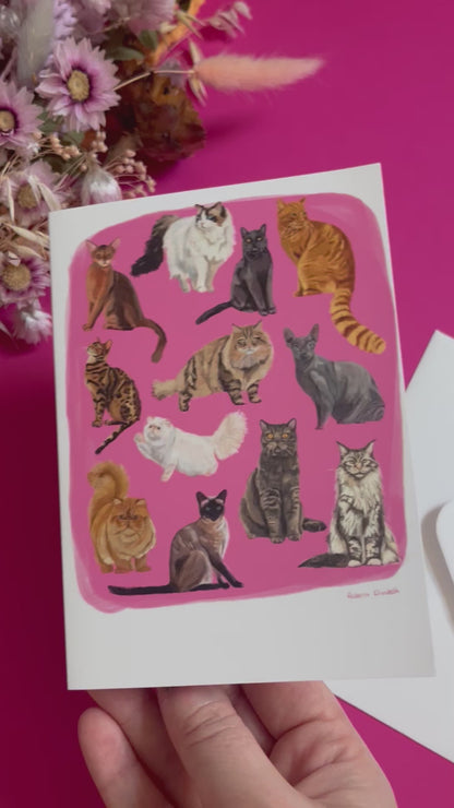 Cat illustrations in a collection on a colourful pink background and a dark green back. Alongside the Rebecca Elizabeth draws logo. 